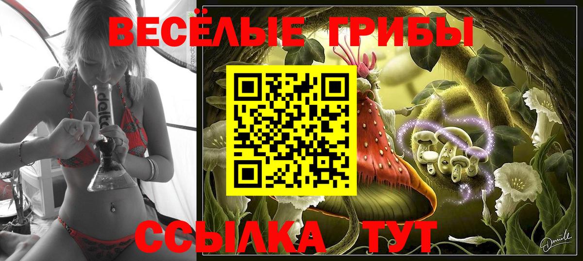 Галлюциногенные грибы Psilocybine cubensis Реутов
